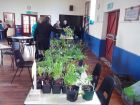 Plant Sale 2015