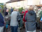 Composting at Lisa&#039;s